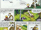 17 Calvin And Hobbes - Life Is A Blur 